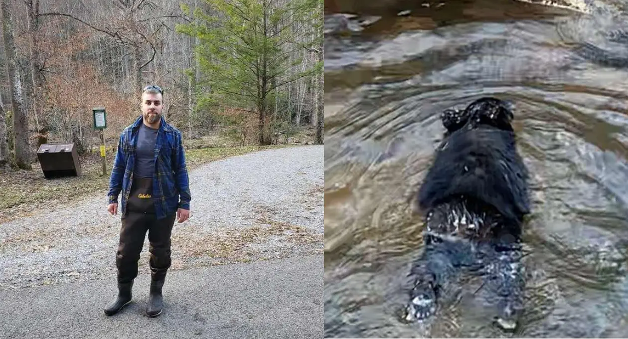 Man Jumps into Freezing River to Rescue Drowning Bear Cub