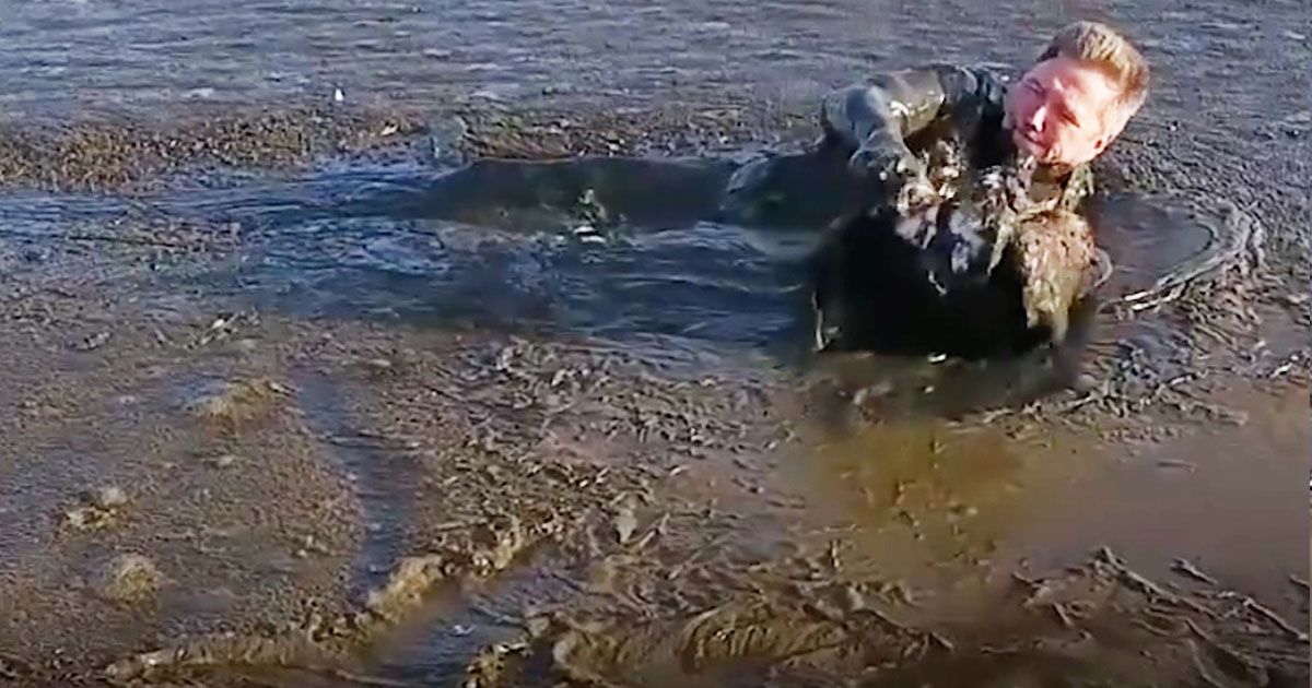 Man crawls through treacherous black mud after noticing helpless trapped animal