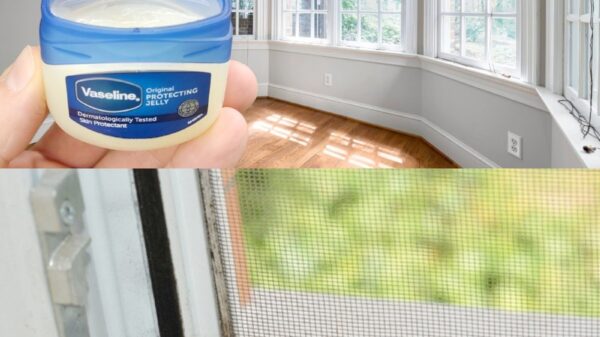 Why Vaseline Is the Ultimate Window Maintenance Trick