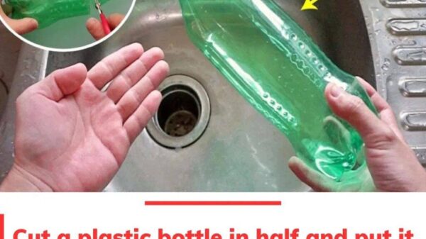 Transforming Plastic Bottles into Practical Sink Strainers: A Step-by-Step Guide