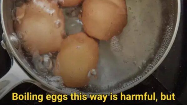 Common Mistakes to Avoid When Boiling Eggs